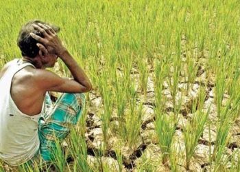 ভারতীয় কৃষকদের আত্মহত্যার নেপথ্যে কী