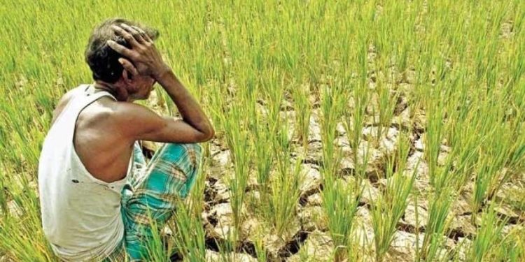 ভারতীয় কৃষকদের আত্মহত্যার নেপথ্যে কী