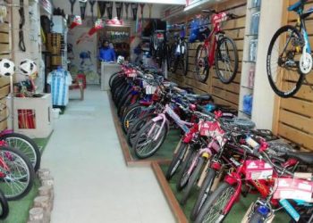 ইউরোপ জয় করলো দেশি সাইকেল