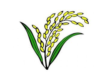 ধানের শীষে ভোট করবে ৮টি দল