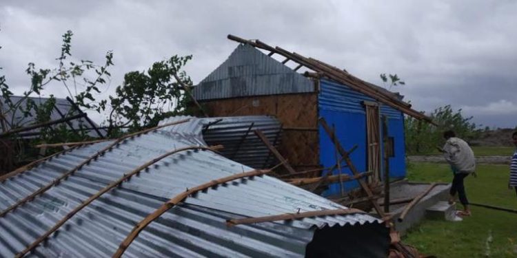 বুলবুলের তাণ্ডবে ৯ জনের প্রাণহানি