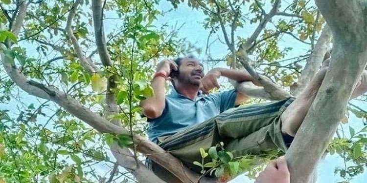 কথা বলতে গাছের ডালে আইসিসির আম্পায়ার