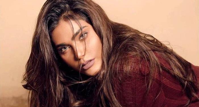 বিমান দুর্ঘটনায় পাকিস্তানি মডেলের মৃত্যু