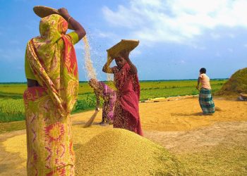 ‘এবছর বোরো ধানের উৎপাদন লক্ষ্যমাত্রার চেয়ে বেশি হবে’
