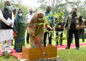 যেখানে যতটুকু জায়গা আছে, বৃক্ষরোপণ করুন: প্রধানমন্ত্রী