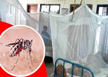 দেশে ডেঙ্গু শনাক্ত ৬০ হাজার ছাড়িয়েছে