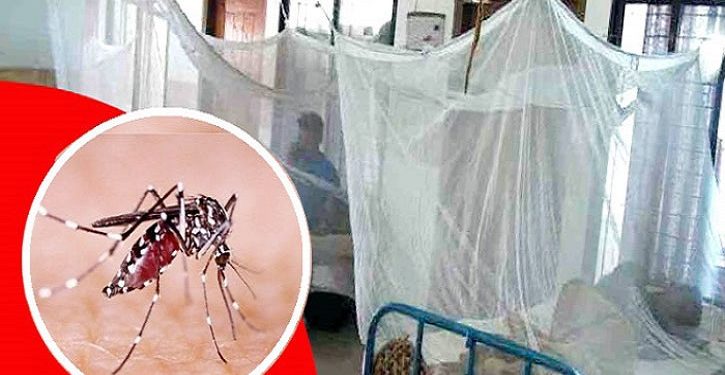 দেশে ডেঙ্গু শনাক্ত ৬০ হাজার ছাড়িয়েছে