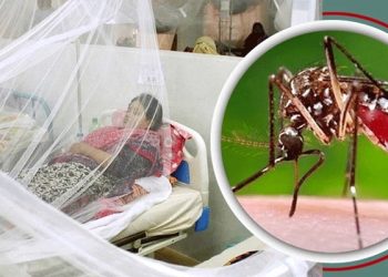 স্বাস্থ্য অধিদপ্তরের নির্দেশনা কেউ মানছে না