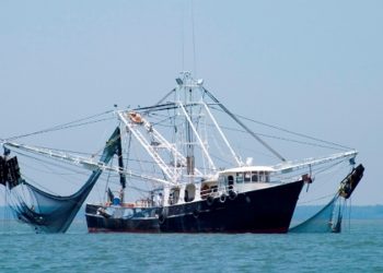 ২০ মে থেকে সাগরে মাছ ধরা নিষেধ