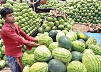 তরমুজের কেজি ১০০ টাকা!