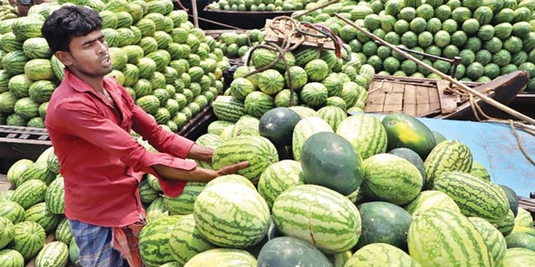 তরমুজের কেজি ১০০ টাকা!
